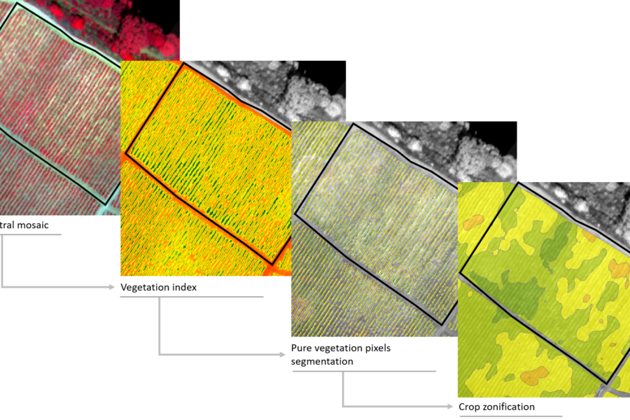 The importance of image segmentation for vegetation analysis